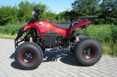 Midi Elektro Kinderquad Warrior 1000 Watt - Fun Mobil