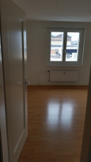 3-Zimmer Wohnung in Hochdorf - Zentral gelegen 2. OG mit Balkon