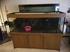 450l Aquarium