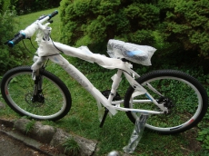 Moutainbikes 24