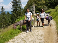 Alpaka, Lama und Esel Trekking auf dem Solothurner Jura