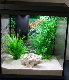 Neues kleines Aquarium, alles inklusive, noch nie gebraucht