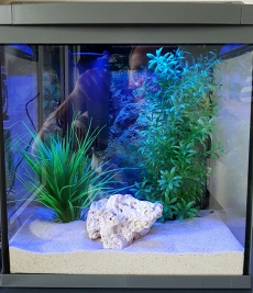 Neues kleines Aquarium, alles inklusive, noch nie gebraucht