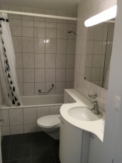 3 Zimmer Wohnung Emmen sucht Nachmieter 