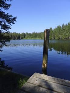 Ferien mit dem Pferd (oder Hund) im Jura, traumhaftes Reitgebiet