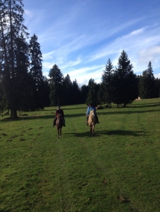 Ferien mit dem Pferd (oder Hund) im Jura, traumhaftes Reitgebiet