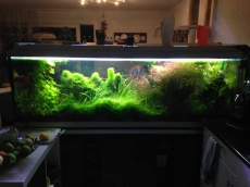 Unterschrank inkl. Glas Aquarium Star200 von ferplast.com 