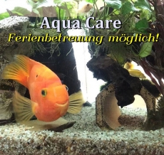 Aqua Care / Aquarium Reinigung