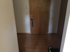 Nachmieter gesucht 1.5 Zi-Wohnung in Oberfeld 1, 6246 Altishofen 