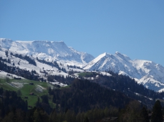 4,5 Zi Wohnung Frutigen