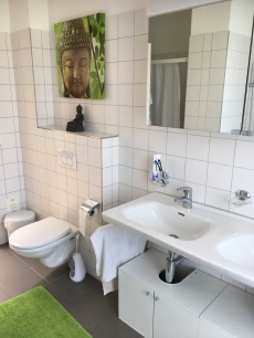 5.5 Zimmer Attikawohnung