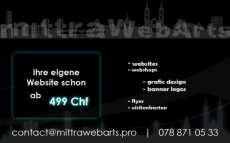 Webseiten ab 199 CHF,- Websites Grafikdesign SEO Optimierung 