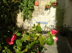 Ferienwohung mit Garten und Fassauna im schönen Tessin