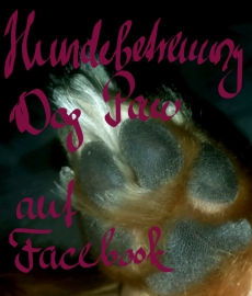 Hundebetreuung Dog paw