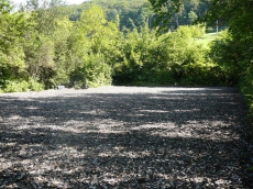 Freie Boxen auf dem Pferdedressurhof Teufental