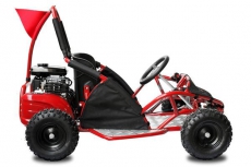 80cc Buggy GoKid