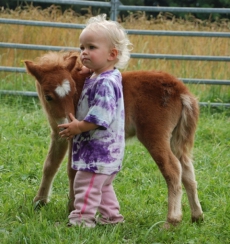 Pony Erlebniss für Mutter und Kind auf dem Elfenhof