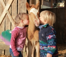 Pony Erlebniss für Mutter und Kind auf dem Elfenhof