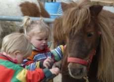 Pony Erlebniss für Mutter und Kind auf dem Elfenhof