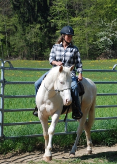 Reiten auf dem Elfenhof