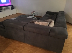 Graues Sofa in einem sehr guten Zustand 