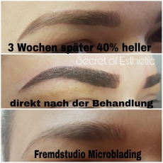 Permanent Make-up Augenbrauen Pudrige