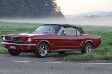 Ford MUSTANG Convertible Jg. 1966