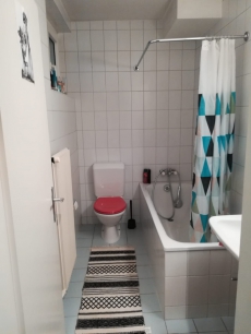 1- Zimmer Wohnung EG, Solothurn