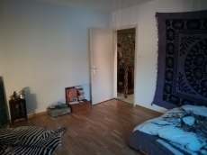 1- Zimmer Wohnung EG, Solothurn