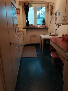 1- Zimmer Wohnung EG, Solothurn