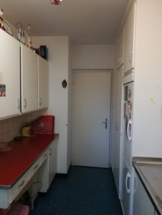 1- Zimmer Wohnung EG, Solothurn