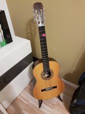 Gitarre Kasuga G250