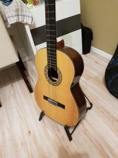 Gitarre Kasuga G250