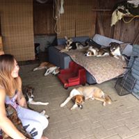 Ebnat-Kappel Hundepension Neueröffnung!