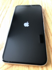 Iphone X 256Gb Silver