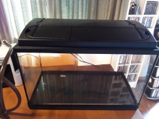 60 Liter Aquarium