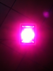 20W LED Full Spectrum Fluter 230V Pflanzenlicht