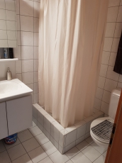 Suche Nachmieter 2 1/2 Zimmerwohnung mit Galerie und Kaminofen