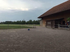 Doppelauslaufboxe in Gisikon zu vermieten