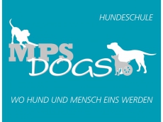 Come & Wait – Hundeschule (Abruf- und Bleib-Training)