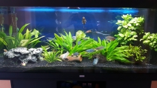 Aquarium Juwel Rio 400