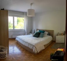 Room/Zimmer/Chambre/Stanza