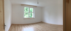 4,5 Zimmer Wohnung