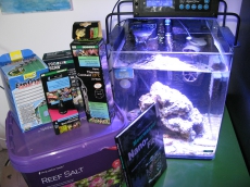 Süss und Meerwasser Nano-Aquarium set mit diversem Zubehör