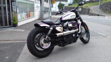 Harley Davidson Sportster Iron 883