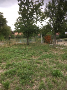 Bauland im Elsass in Helfrantzkirch