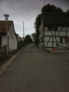 Bauland im Elsass in Helfrantzkirch