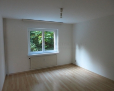 Wohnung am Rande der Altstadt Schaffhausen