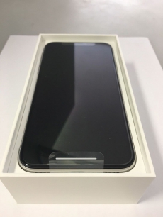 iPhone X 256gb