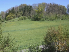 Sonnige Dachwohnung mit Weitsicht in Ettingen